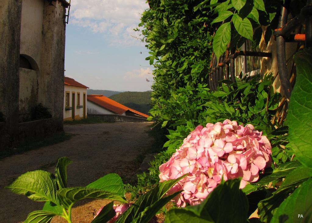 Quinta Do Cerquito Villa Ferreira do Zêzere Esterno foto