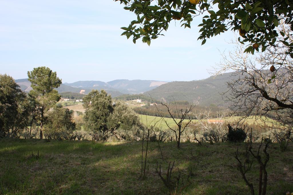 Quinta Do Cerquito Villa Ferreira do Zêzere Esterno foto