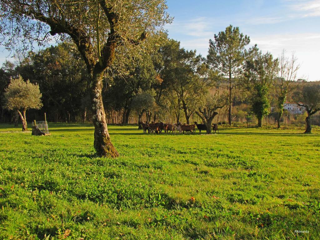 Quinta Do Cerquito Villa Ferreira do Zêzere Esterno foto
