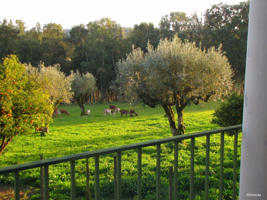 Quinta Do Cerquito Villa Ferreira do Zêzere Esterno foto
